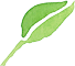 La Terra